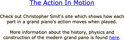The Action In Motion